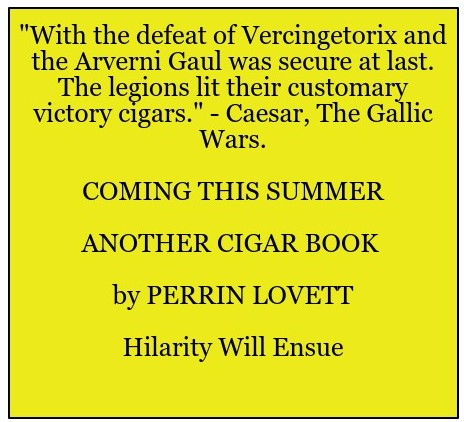 vectorpaint (1) - Edited