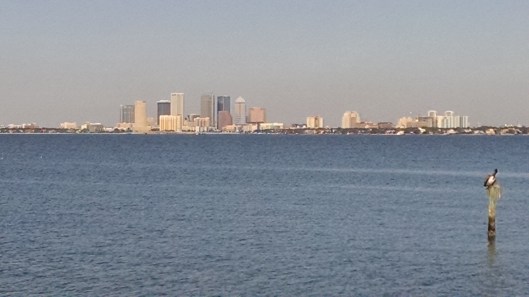 img_20170106_135946988