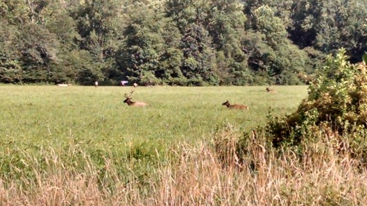 IMG_20170720_173234046_HDR