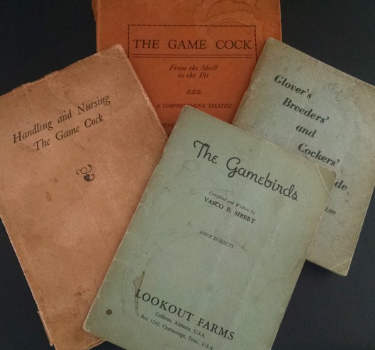 IMG_20180605_154936046 - Edited